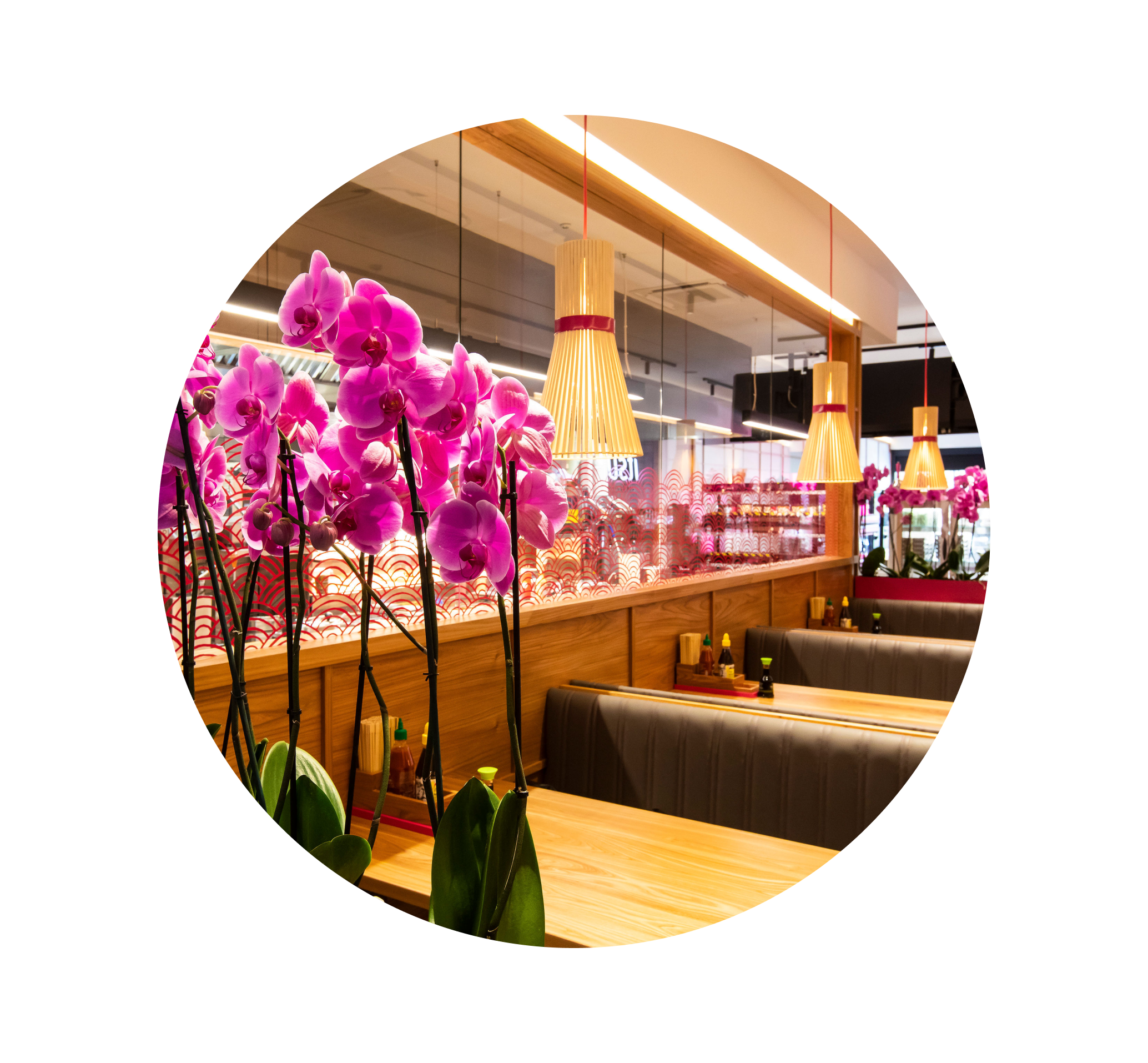 Vibrant pink orchids adorn a modern restaurant interior with wooden tables and booth seating.