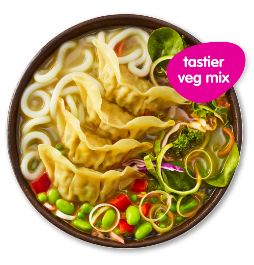 A bowl of udon noodles with dumplings and a colorful mix of fresh vegetables.