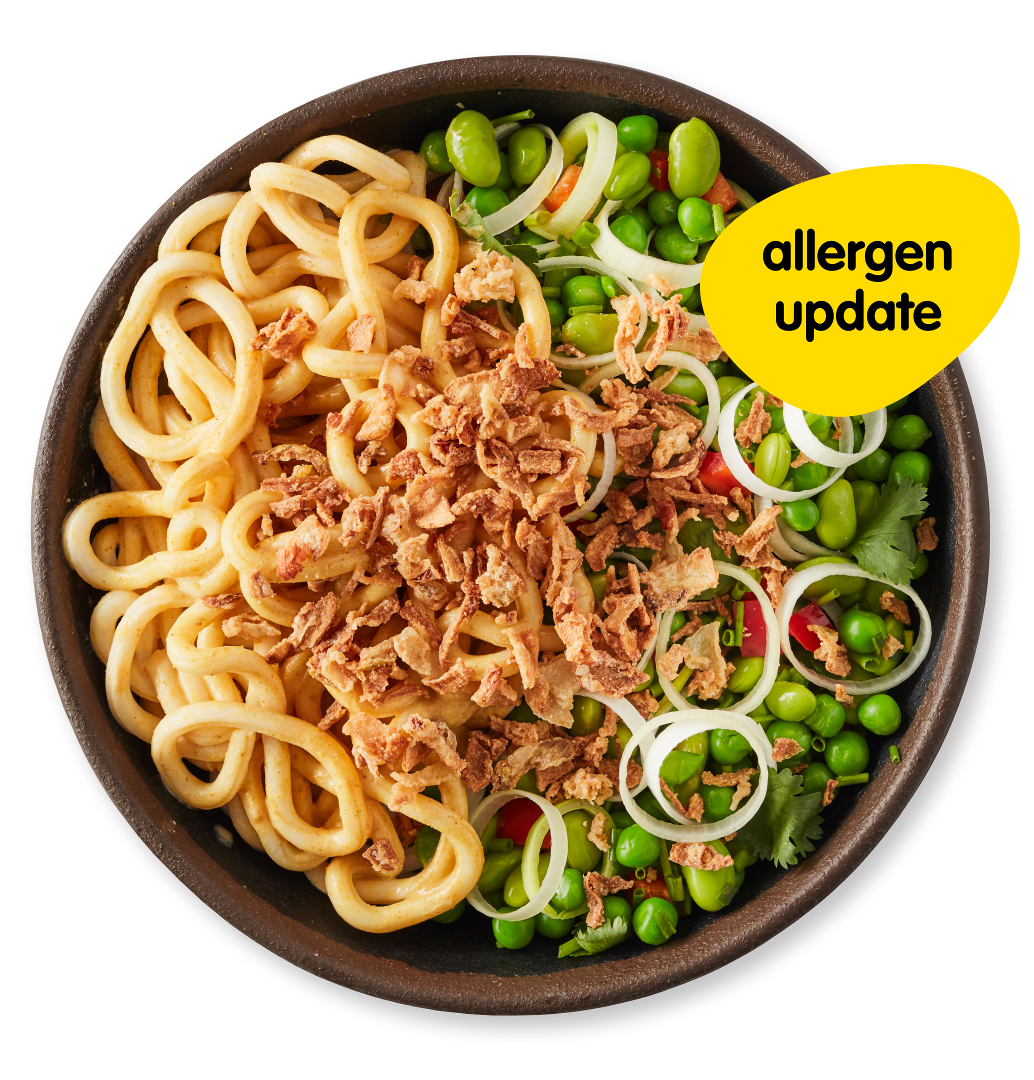 katsu curry noodle'bowl_website_product.jpg