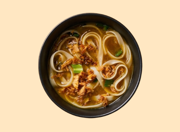 katsu curry noodles & broth pot