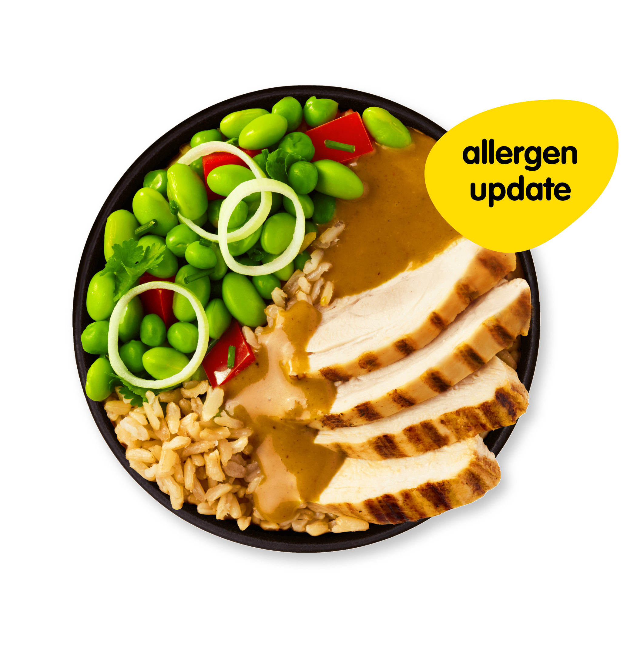 little grilled chicken katsu curry_website_product.jpg