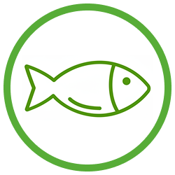 A simple green outline of a fish icon within a green circular border.