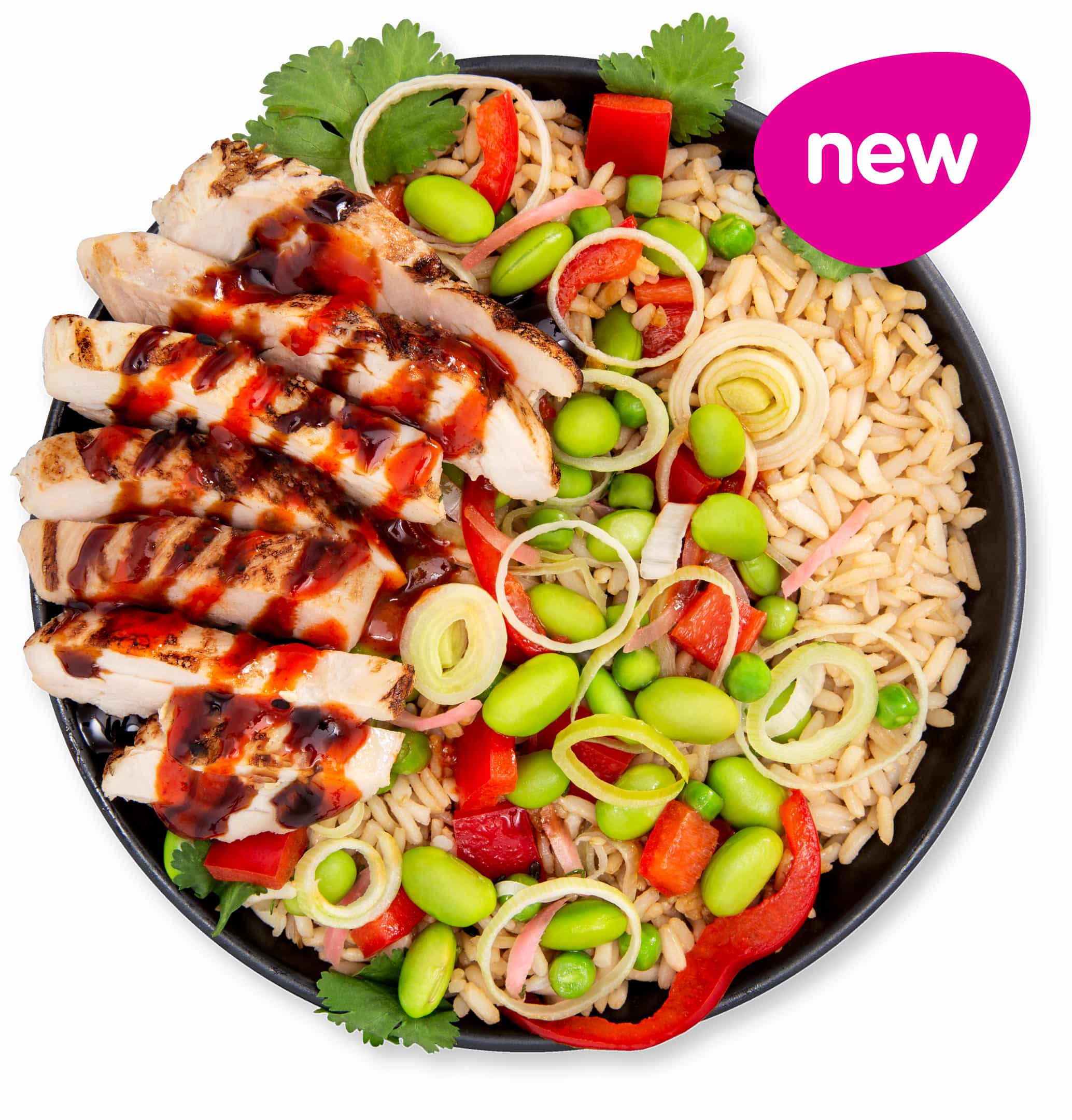 spicy_chicken_teriyaki_rice_pot_website_product_4f1a98d0f1.jpeg